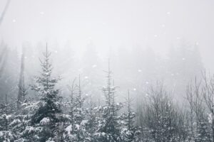 Snow scene in the mountain